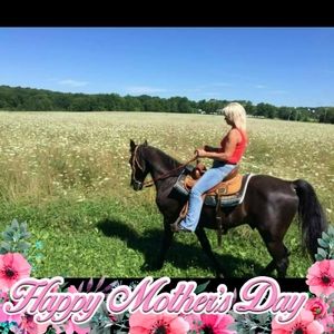 Meet your Posher, Joanne